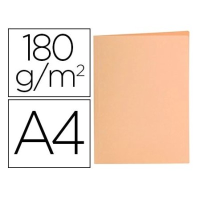 PASTA CLASSIFICADOR LP EM...