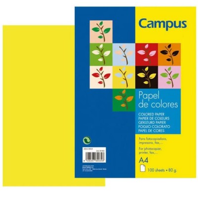 PAPEL FOTOCOPIA A4 80GR....